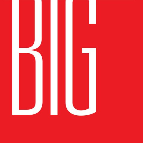 Brand Innovation Group Logo